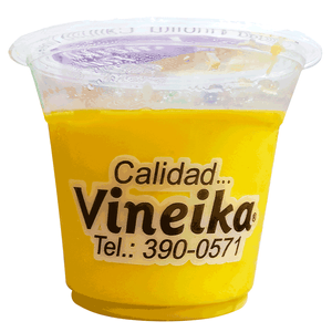 Flan Vineika 227 gr Frio