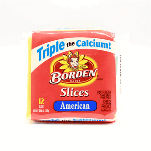 Queso Borden 185 gr Americano Regular
