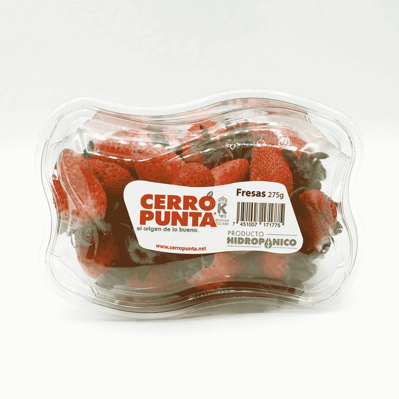 Fresas-Chica-Cerro-Punta-1-UN-Frescas-en-Bandeja