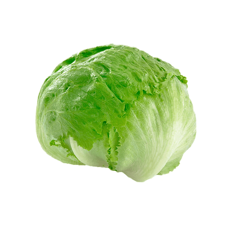 Lechuga-Americana-Nacional-202715000003