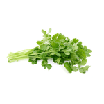 Cilantro-Chino-Bandeja-2704710000005