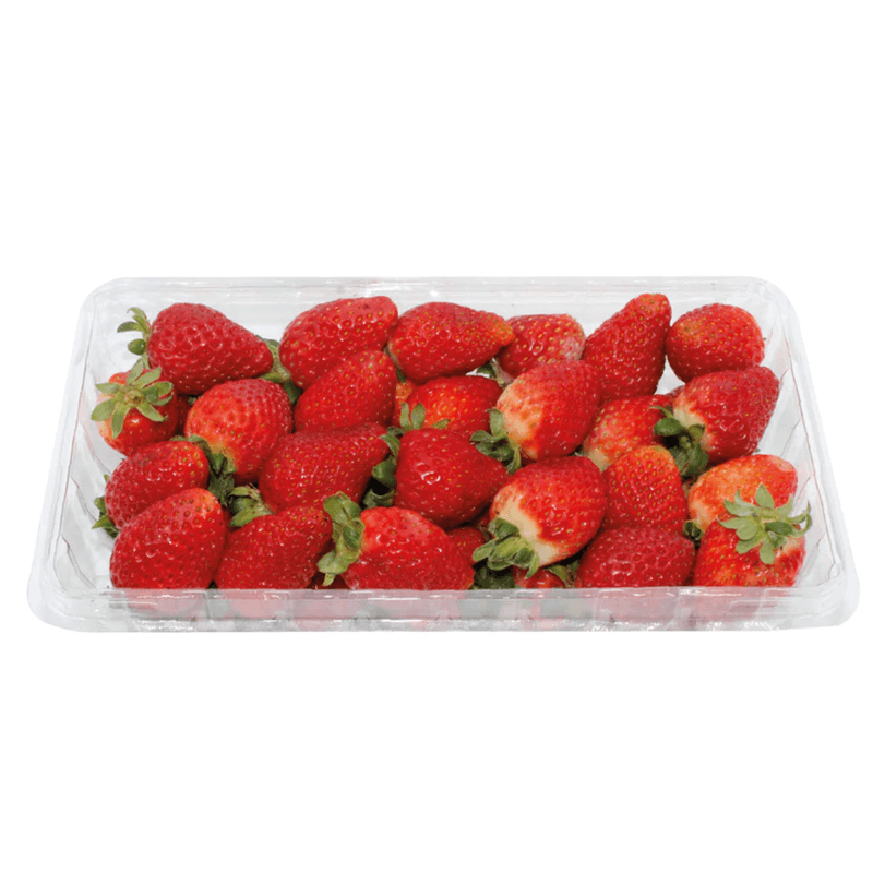 Fresas-Hidroponicas-Empacadas-7451099200025