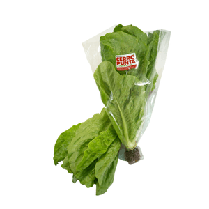Lechuga Romana Cerro Punta Por Libra