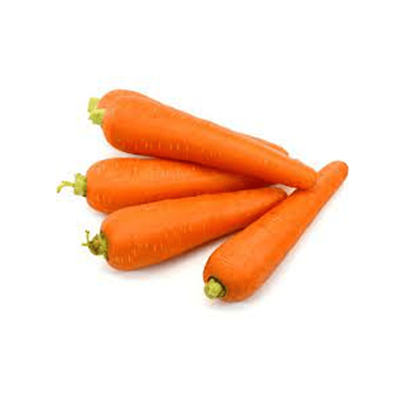 Zanahoria