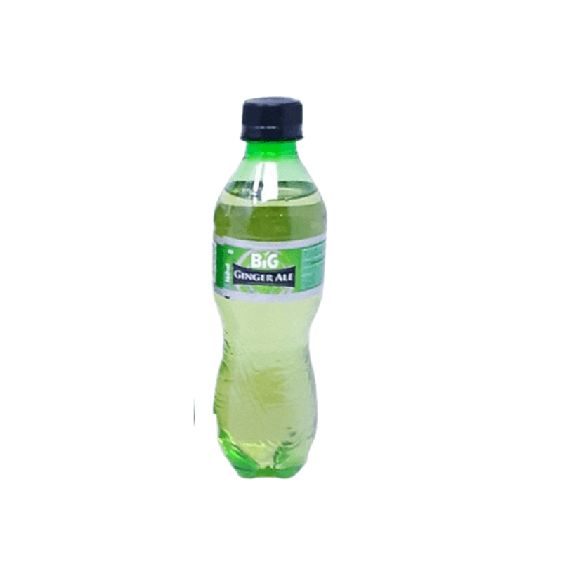 Soda-Ginger-Ale-360ML-Big-7445072002102