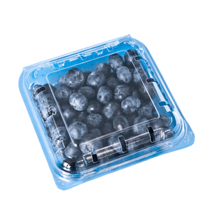 Blueberries Clamshell 125Gr