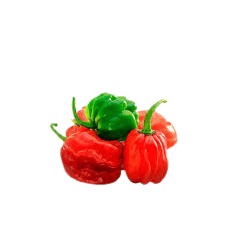 Aji-Chombo-Media-Libra-2701056000003