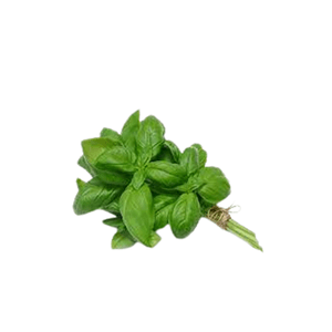 Albahaca Cerro Punta Bandeja