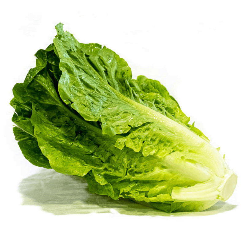 Lechuga-Romana-Cerro-Punta-Por-media-libra-2702718000003