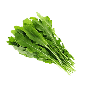 Lechuga Rugula Xtra 1 UN