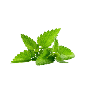 Menta Xtra Por Media Libra
