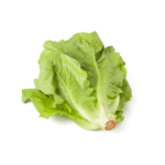 Lechuga-Romana-Por-Media-Libra-2701121000006