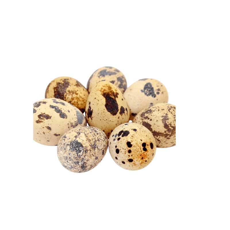 Huevos-Tio-Caiman-De-Codorniz-8-UN-7452098500017