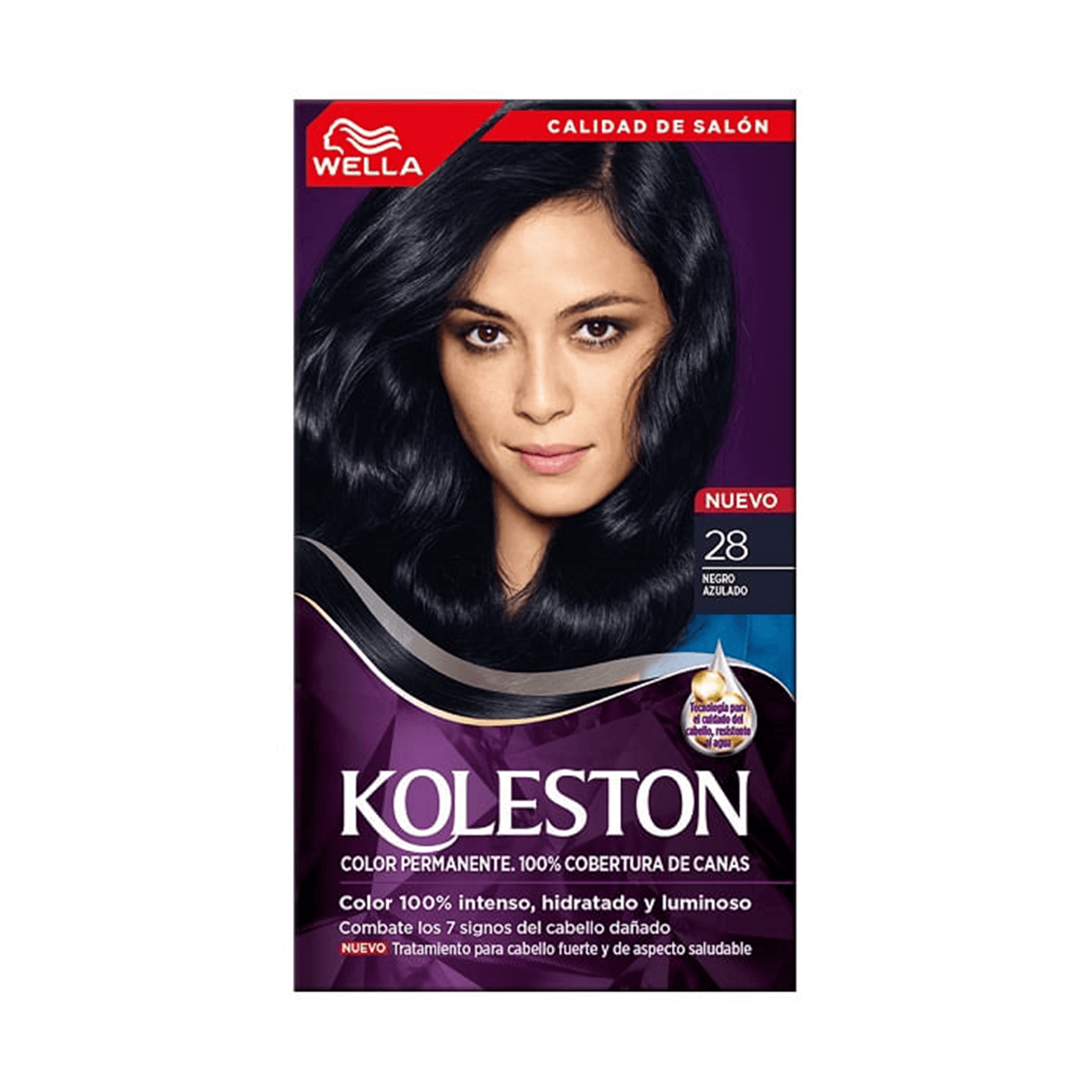 Británico en línea |, image size:1323x1323