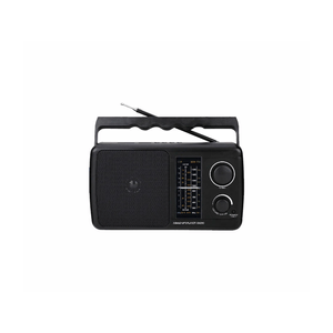 Sankey Radio Portátil  | R799BT