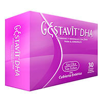 Gestavit-Dha-X-Un-1033153040295