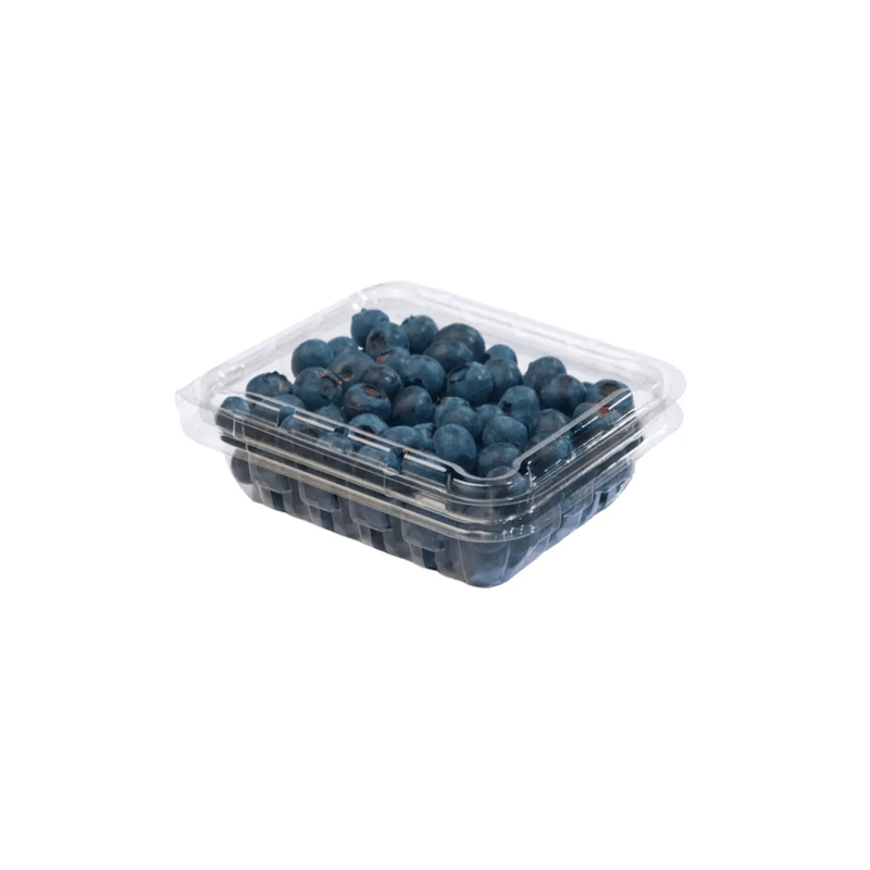 Blueberries-Cramshell-125-G-7754337000037