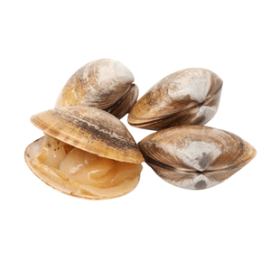 Almejas Pesca Fresca Limpias En Carne