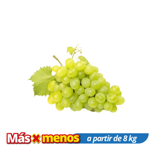 Uvas Verdes Sin Semilla Por Media Libra