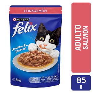 Felix Pouch Adult Salmón 85gr (3oz)