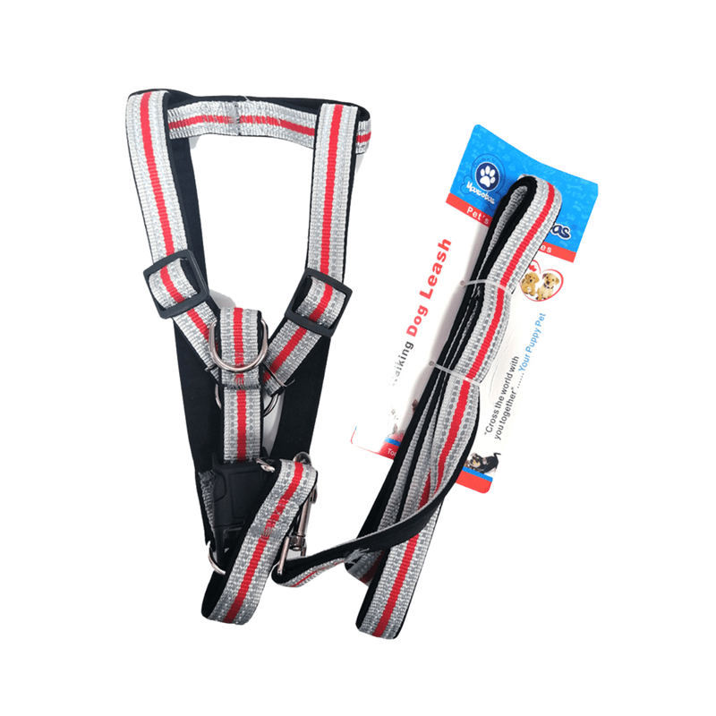 Pechera-Maxcotas-Con-Correa-10539870-7593990010867