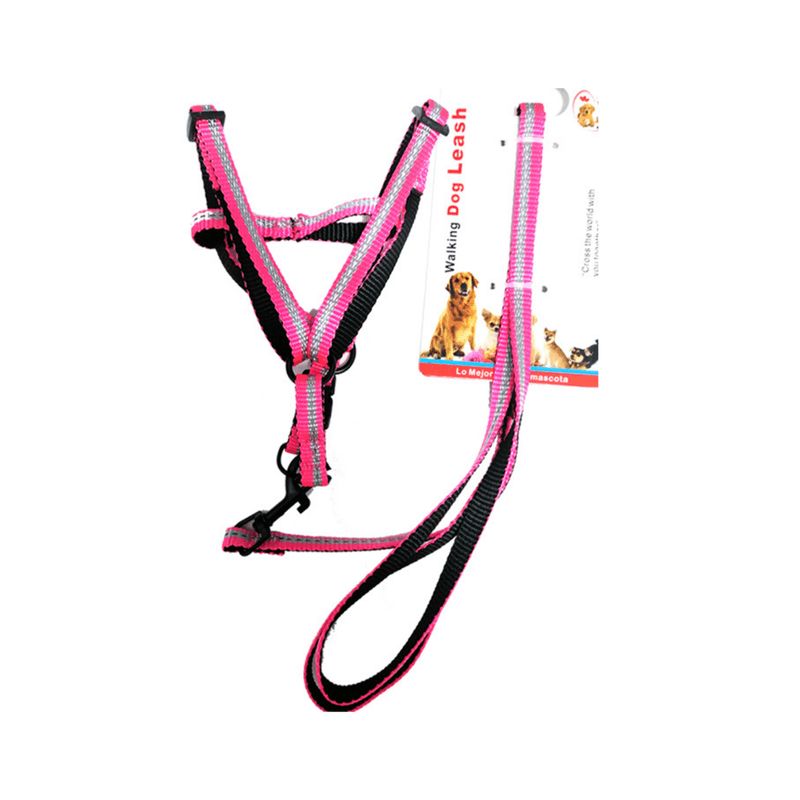 Correa-Maxcotas-Pechera-1-0X120-CM-10557621-6920180030533
