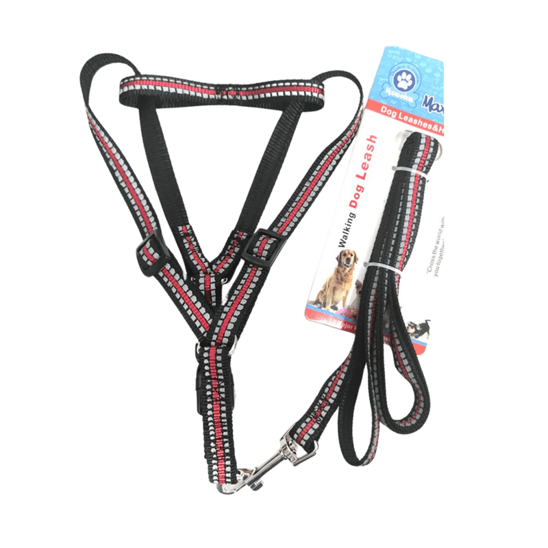 Correa-Maxcotas-Con-Pechera-10557623-7593990051150