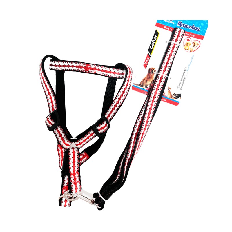 Correa-Maxcotas-Pechera-10557634-6920140015877