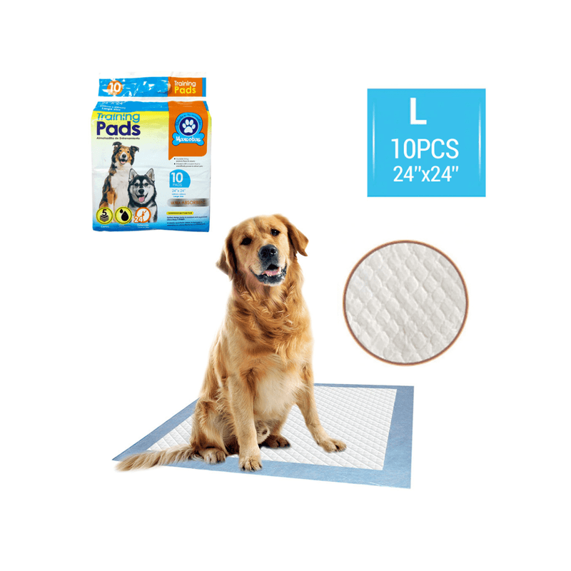 Panales-Maxcotas-Desechables-10-PZS-10557657-7593990004682