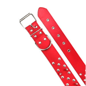 Collar Maxcotas Con Tachas