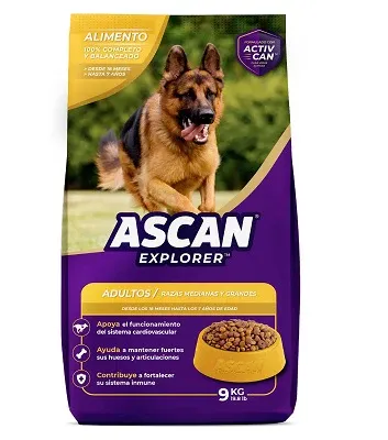 93513400000Ascanadulto9kg
