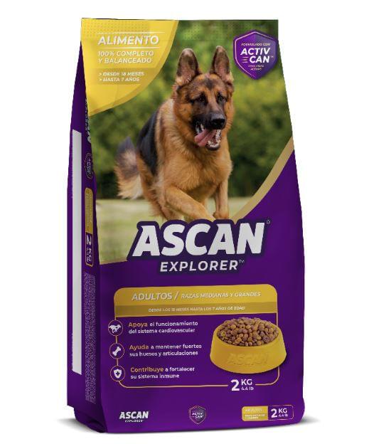 ASCAN POLLO