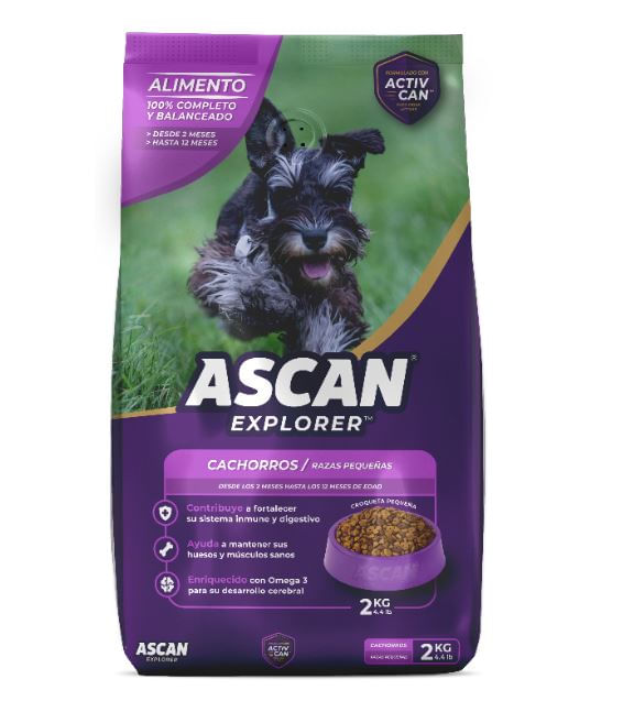 ASCAN CACHORRO