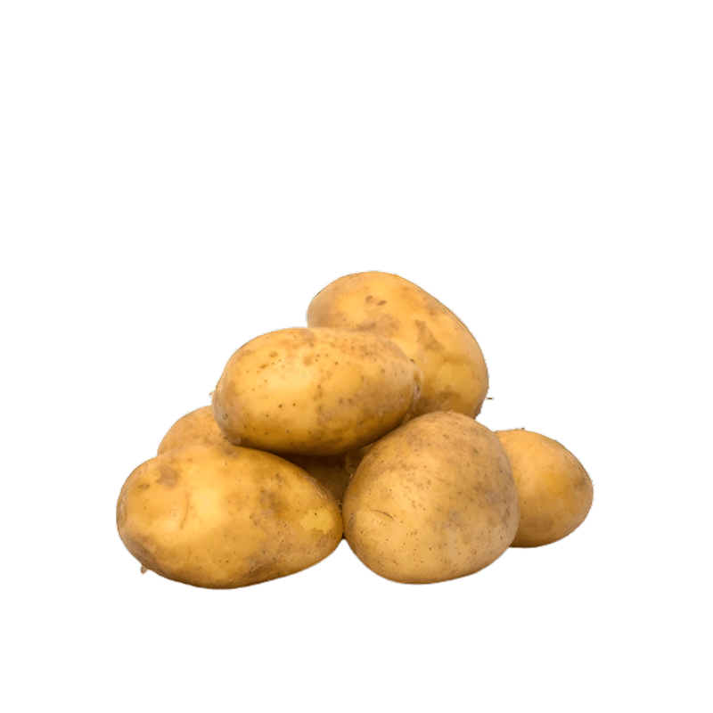 2701302000009